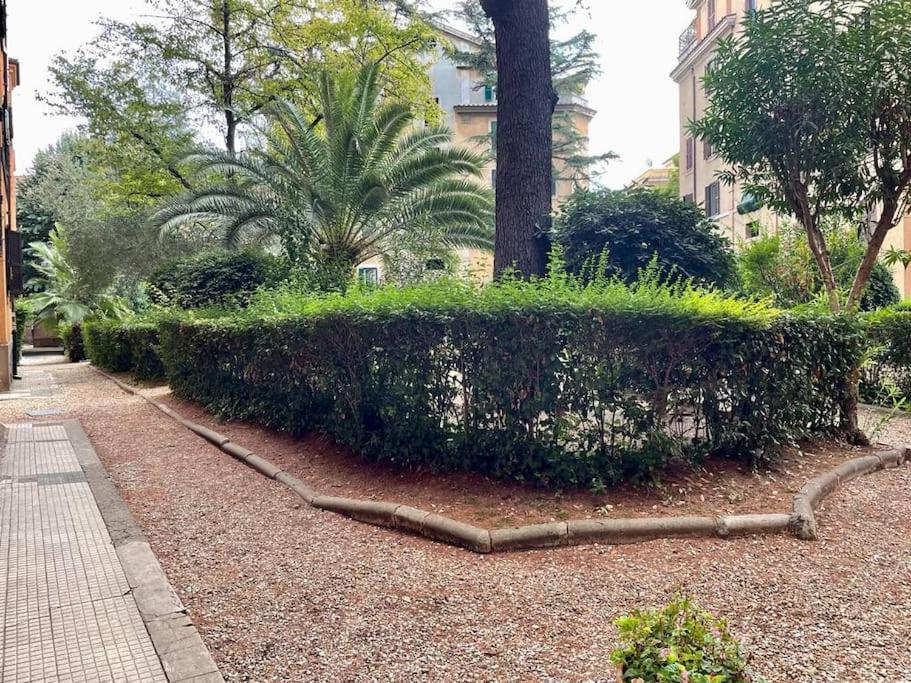 New - Comfortable Apt Porta Latina *