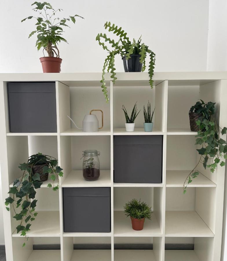 Apartment Ami House