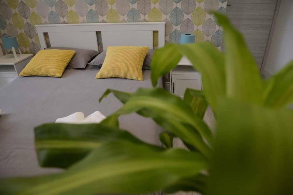 Casa E Per Vacanze Jenner Apartment *
