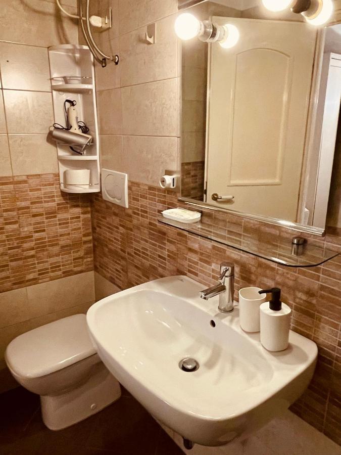 Apartment Downtown Apartment_sistina *