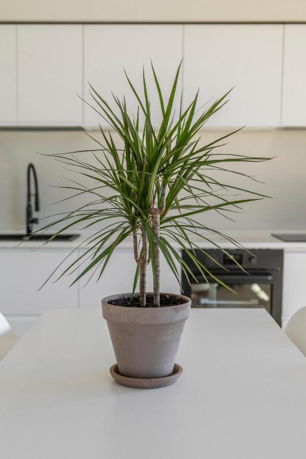 Appartamento La Dolce - Sunny Penthouse Trastevere Station 100sqm *