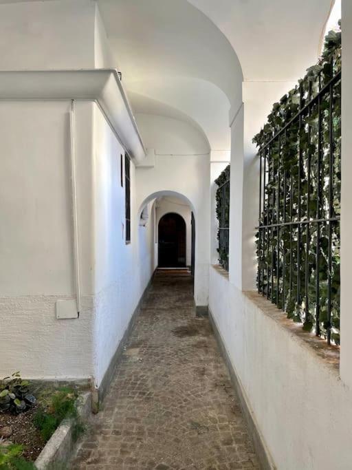 Lovely In Via Della Scala, Trastevere Appartement Rome