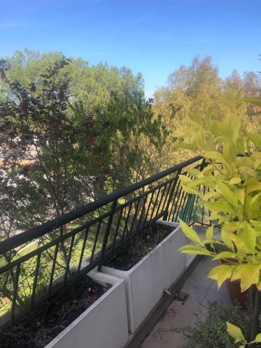 Casa Incantevole Con Vista Parco Appia Antica * Roma