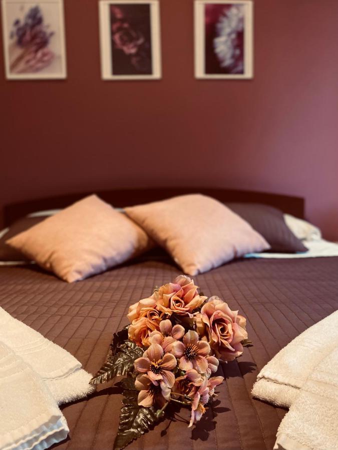 Apartment Dreams In - Colosseum