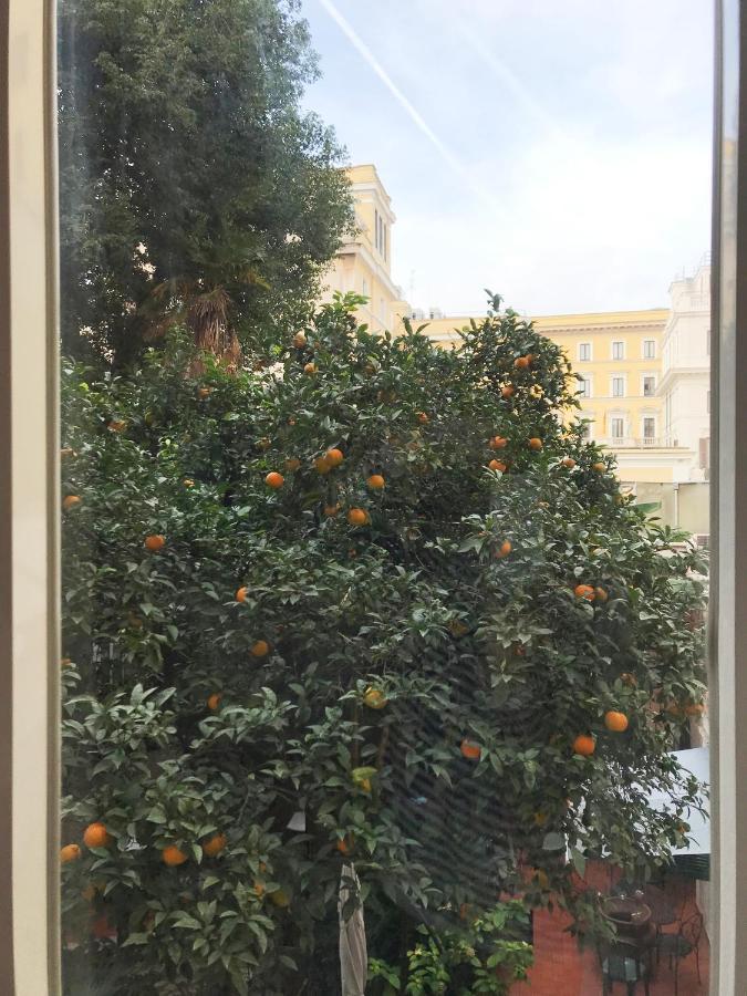 In Easy Life Rome