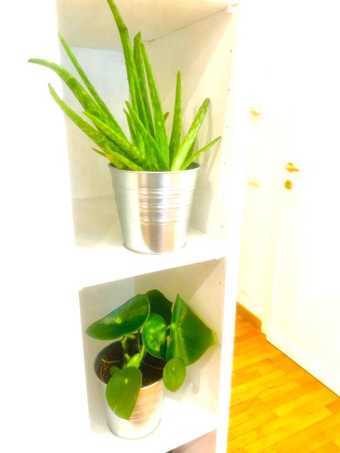 Casa vacanze Plant House Eur Roma