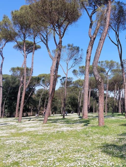 Apartamento Magnifica In Centro Roma