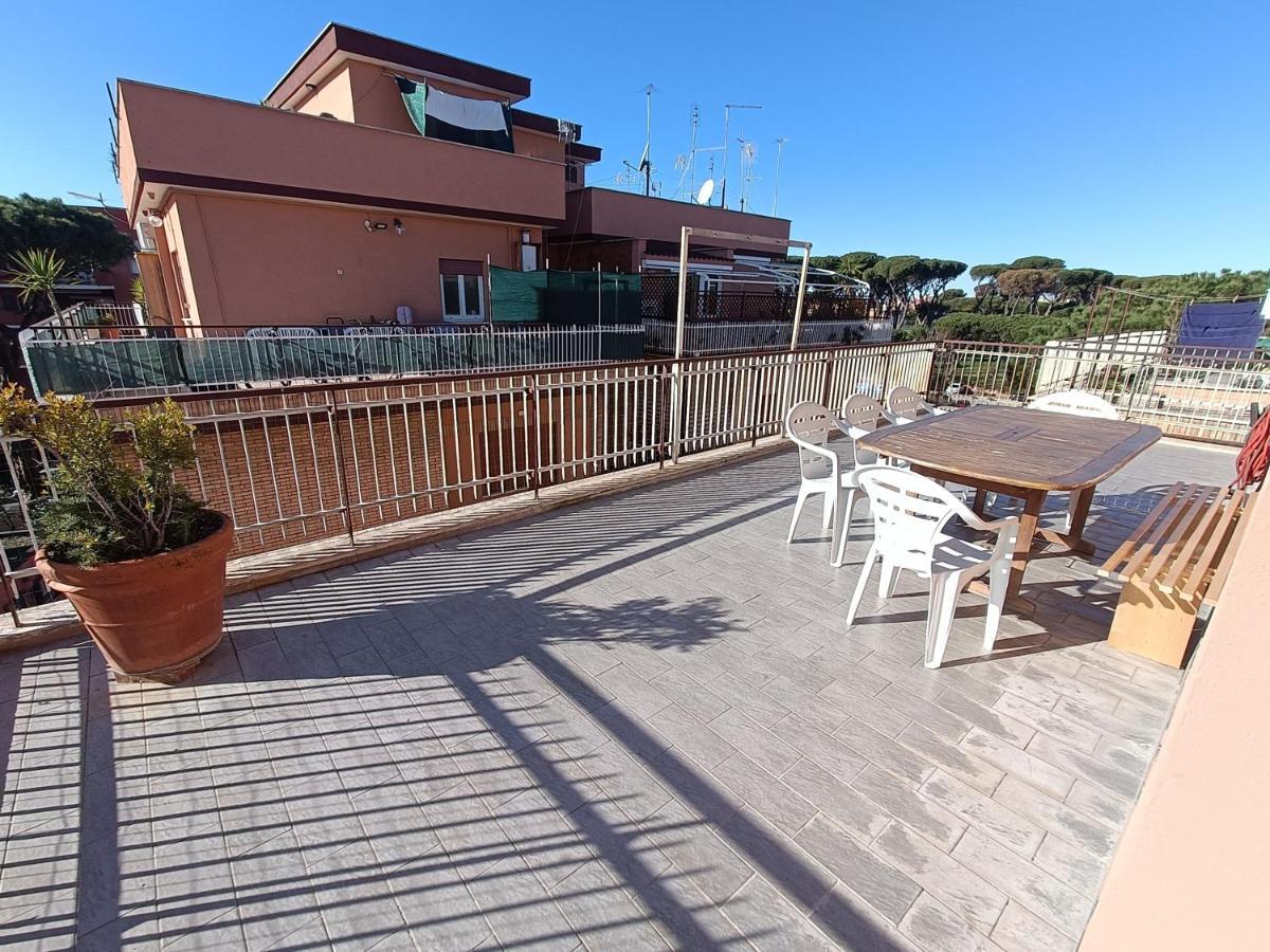 Avellini - Delightful And Spacious With Terrace - Near Metro A Cornelia