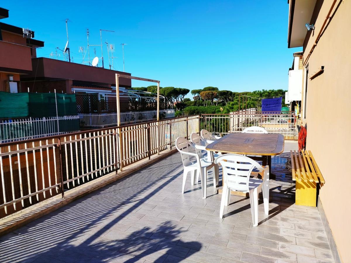 Avellini - Delightful And Spacious With Terrace - Near Metro A Cornelia