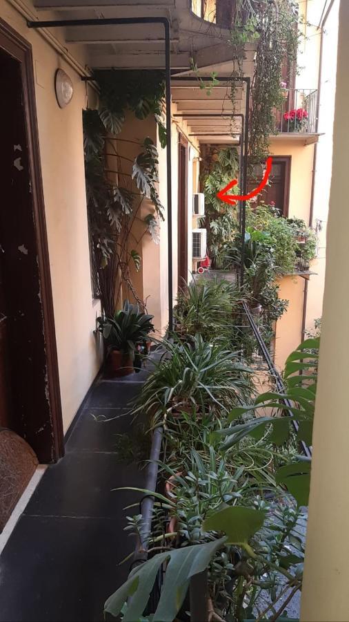 Appartement Charme De Vatican *