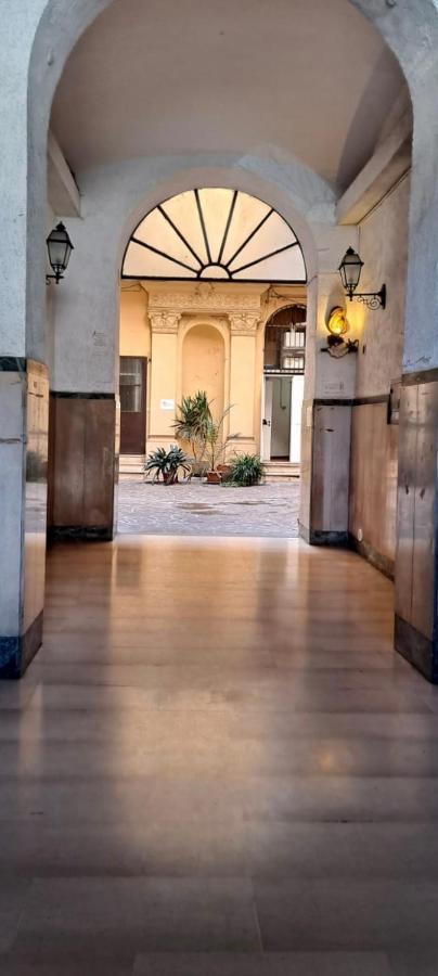 Interno 43