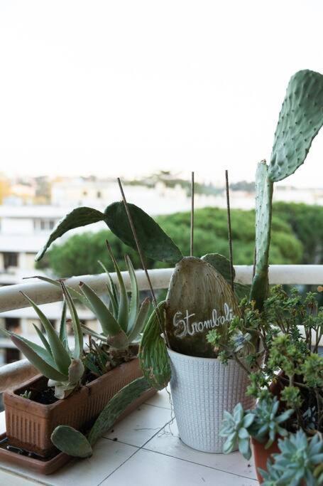 Casa 'ttaja - Mediterranean Eco-apartment Appartamento Roma