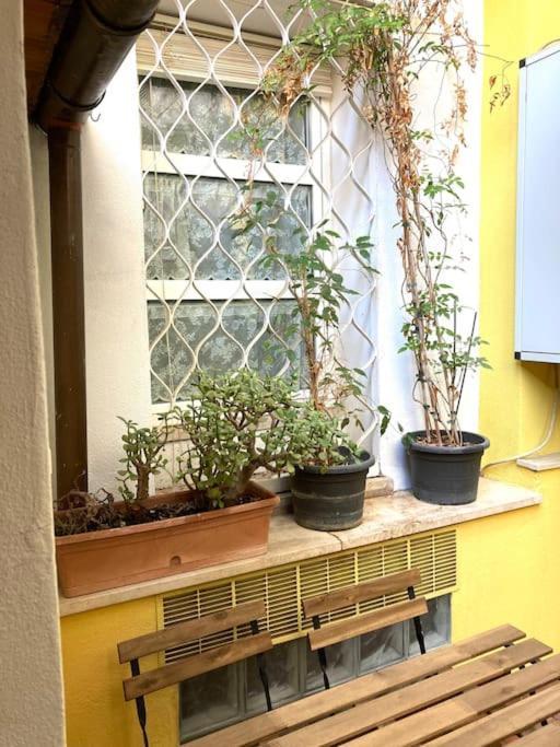Vatican Vacation Interno 2 Appartement *