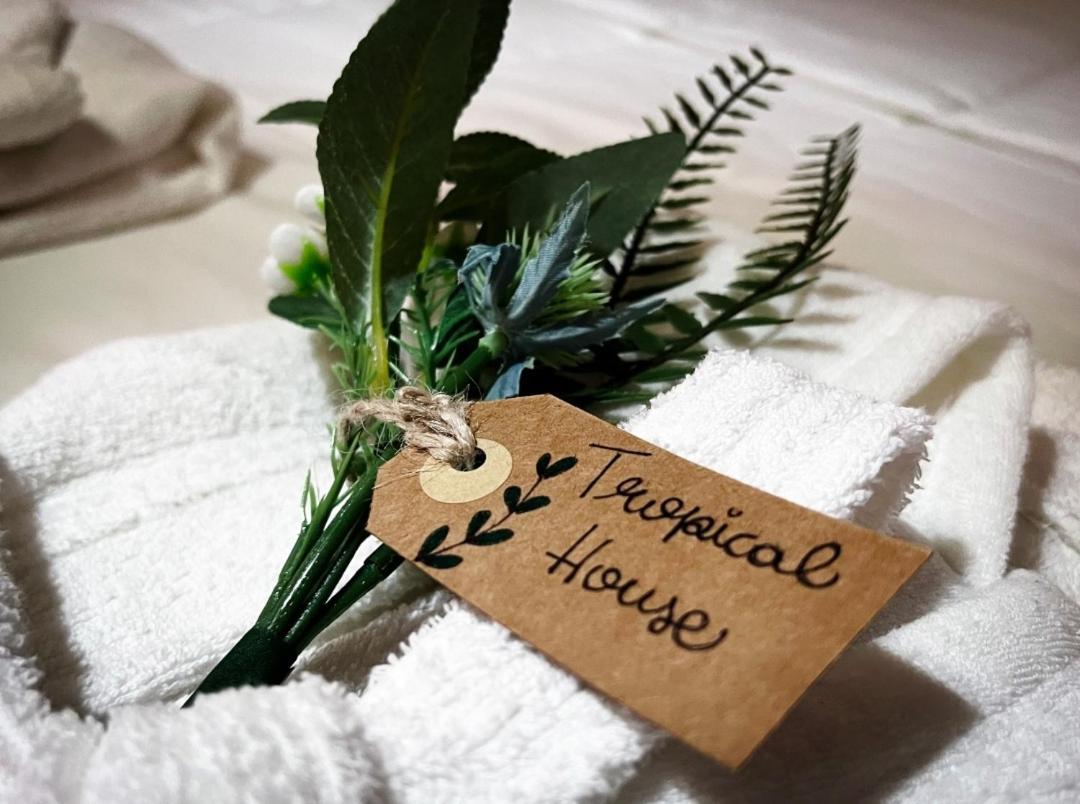 Tropical House60 Guest house Rome