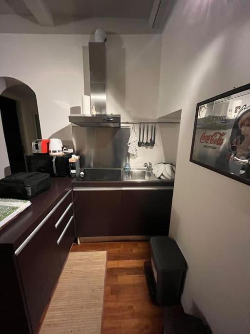 Mount Flower Trastevere Apt * Rome