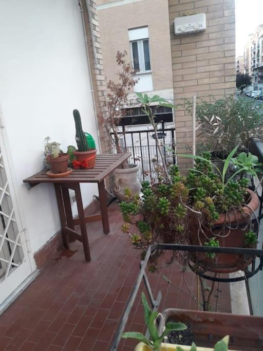 La Casa Di Carlotta Rome