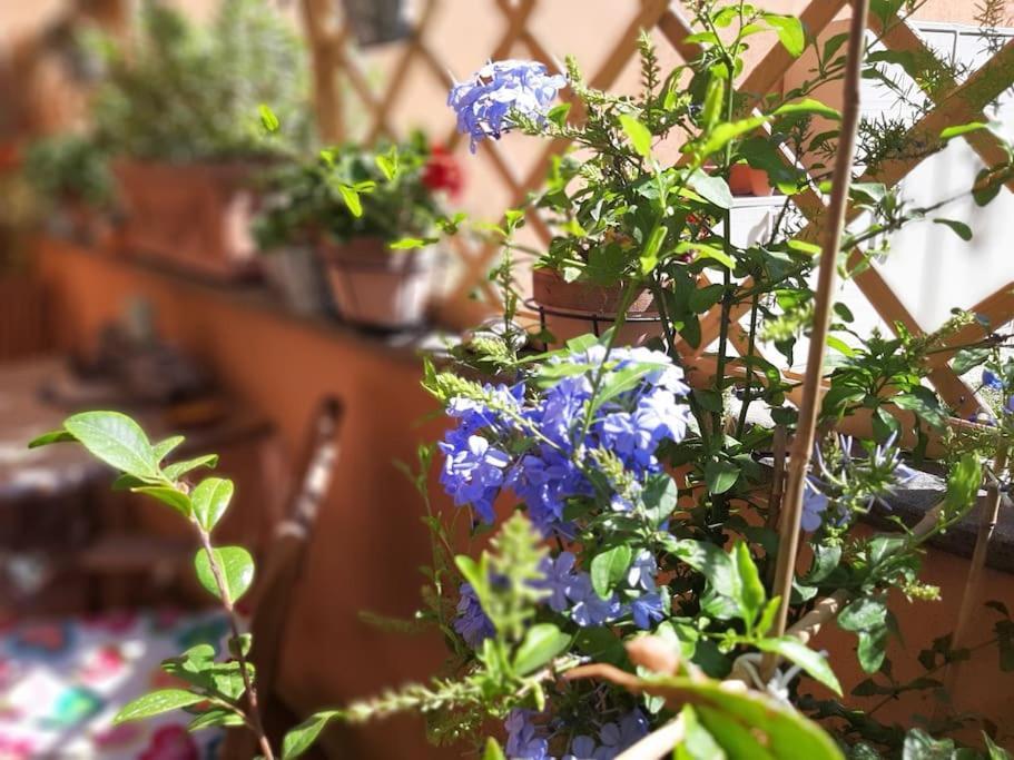 Happia Domus Apartamento Roma