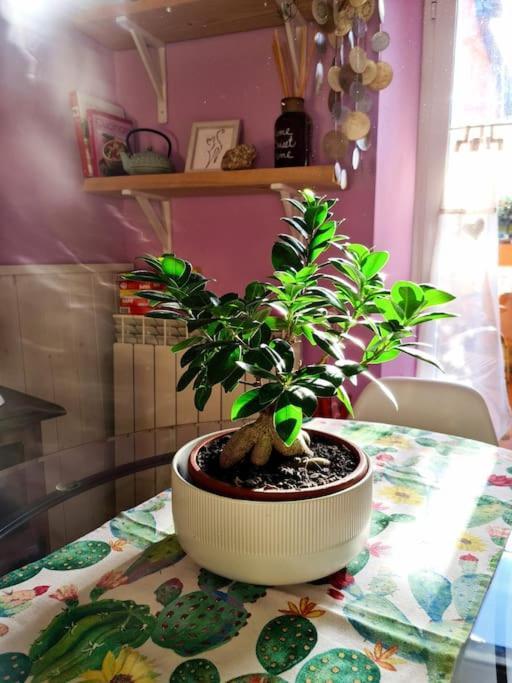 Happia Domus Apartamento