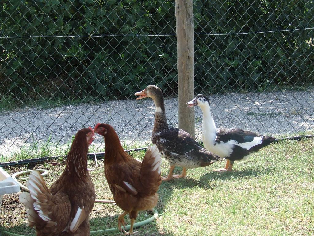 Vakantieboerderij Il Casale Di Rome