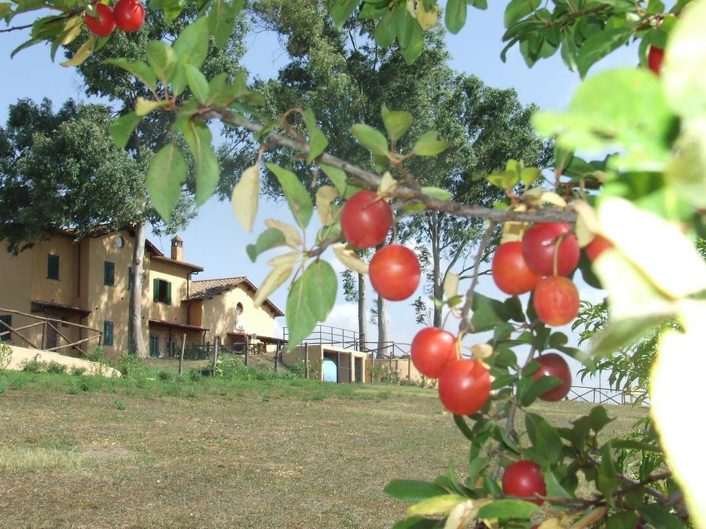 Il Casale Di Vakantieboerderij