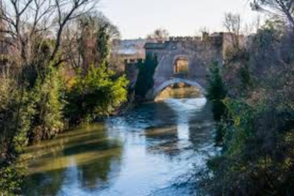 La Palma Degli Artisti Apartment Rome