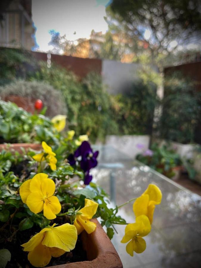 Garden House Rome
