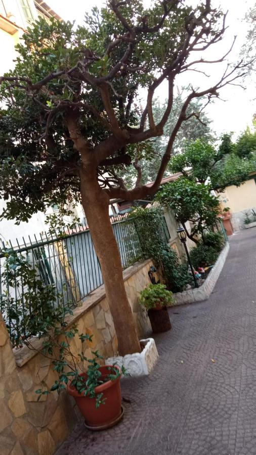 Casa Diana Rome