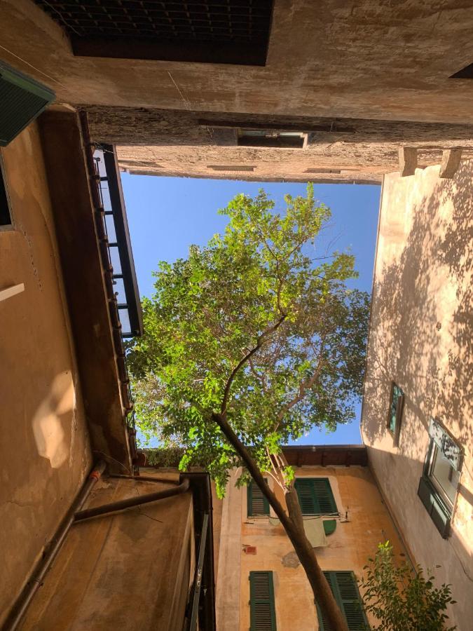 Apartment Navona *