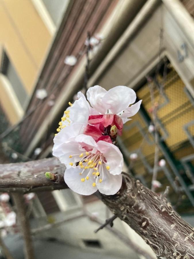 Our In - Via Machiavelli Rome
