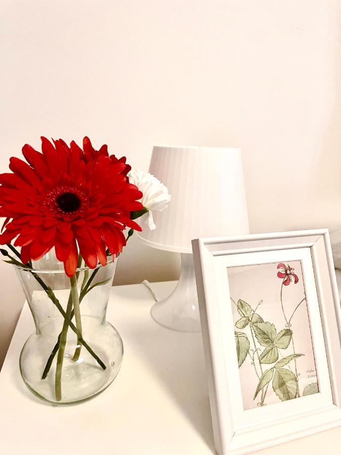 Homes - Monte 61 - Near Trastevere Apartment *
