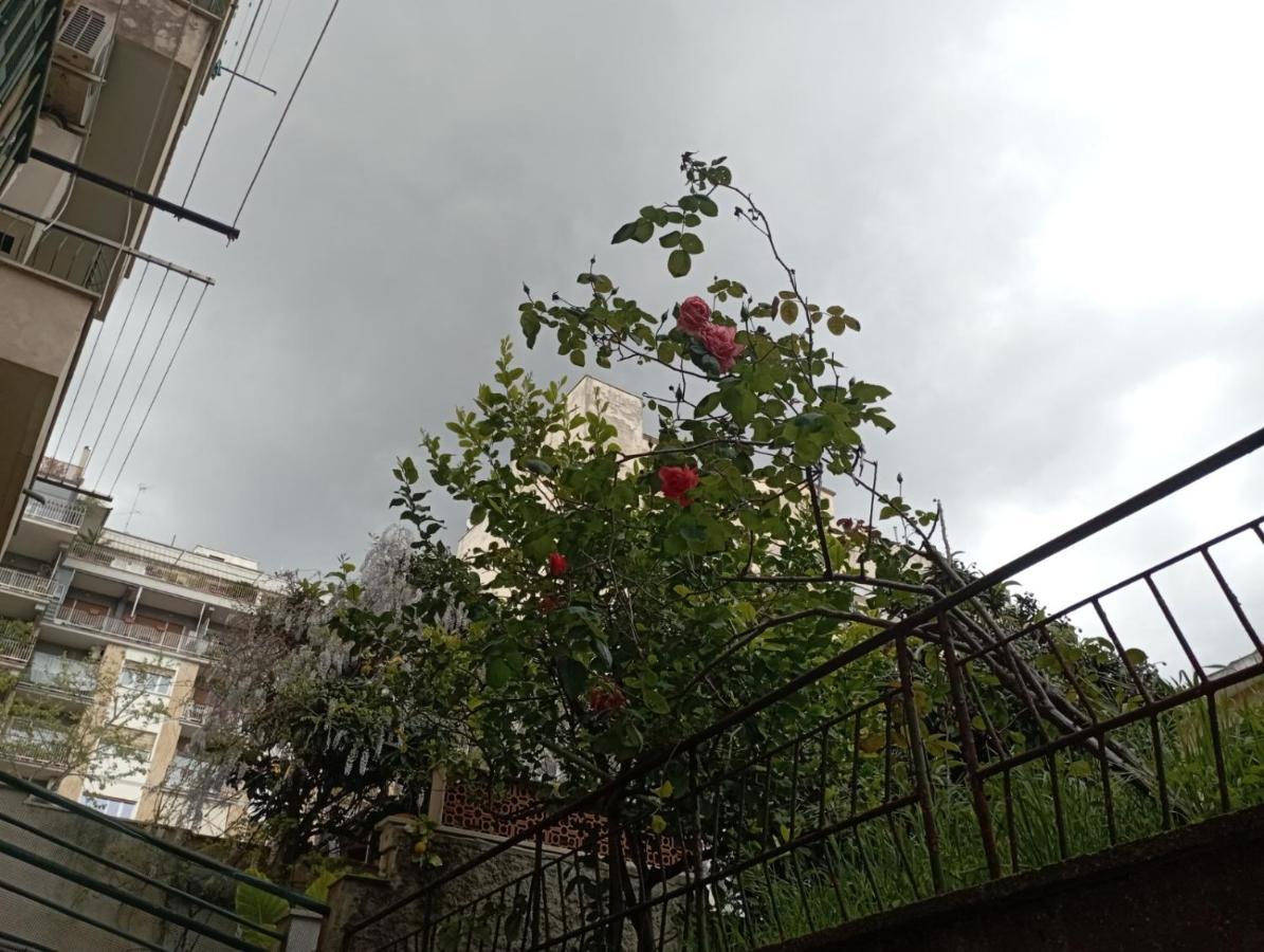 Pigneto House