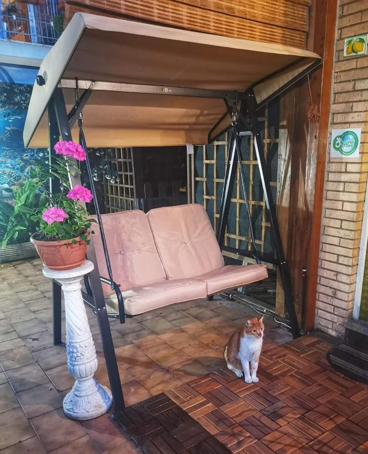 Guest house Il Limone Nascosto Rome