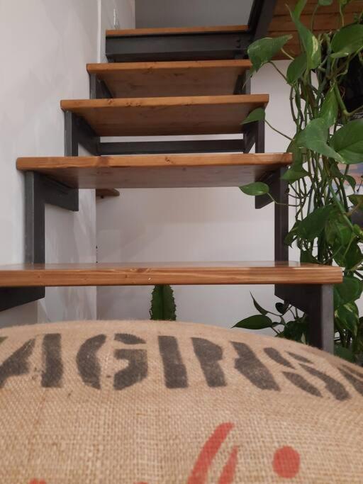 Trastevere St Ariabianca House Rome