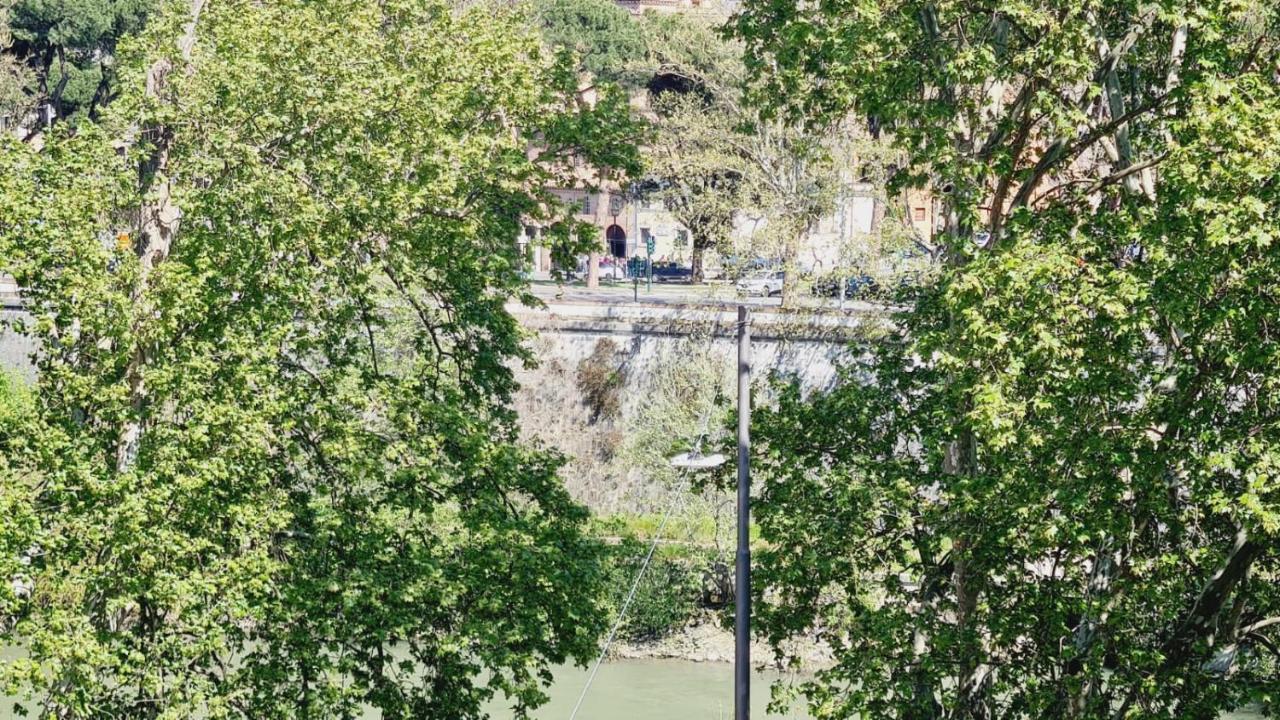 Trastevere Rome's Heart Charming & Cozy 3 Apartment Rome