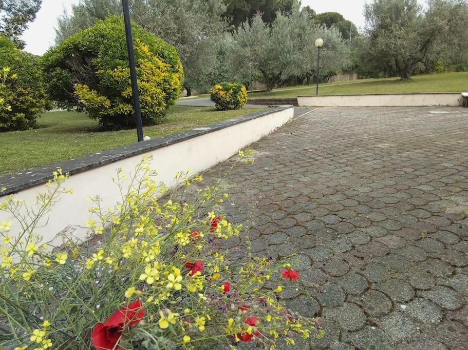 Residenza Nella Campagna Di Capitale. Rome