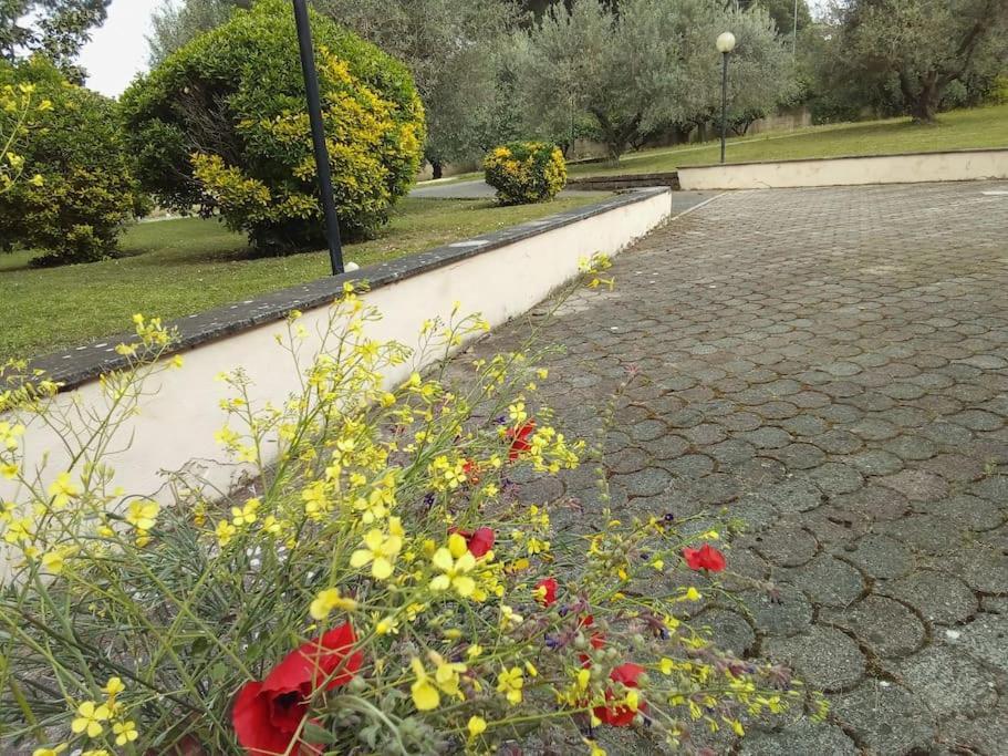 Residenza Nella Campagna Di Capitale. Holiday home Rome