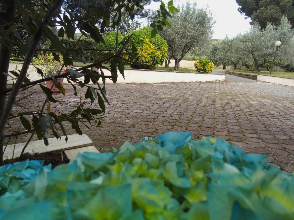 Residenza Nella Campagna Di Capitale. * Roma