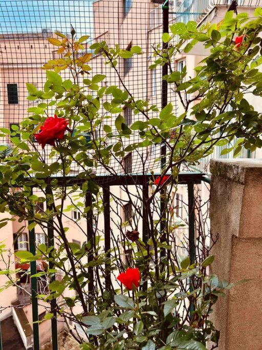 Un Piacevole Turistico Apartment