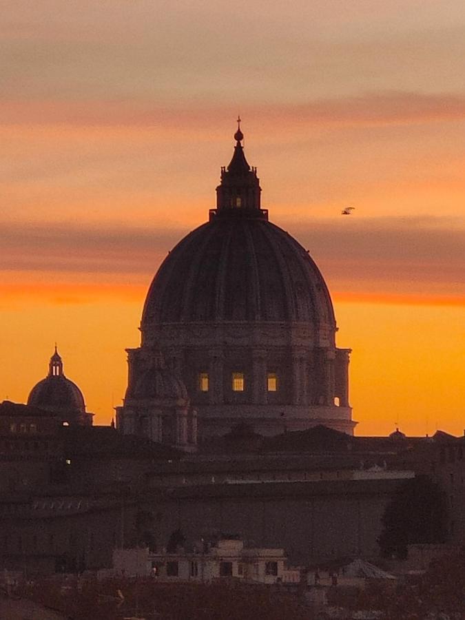 Vatican Domus Romuli