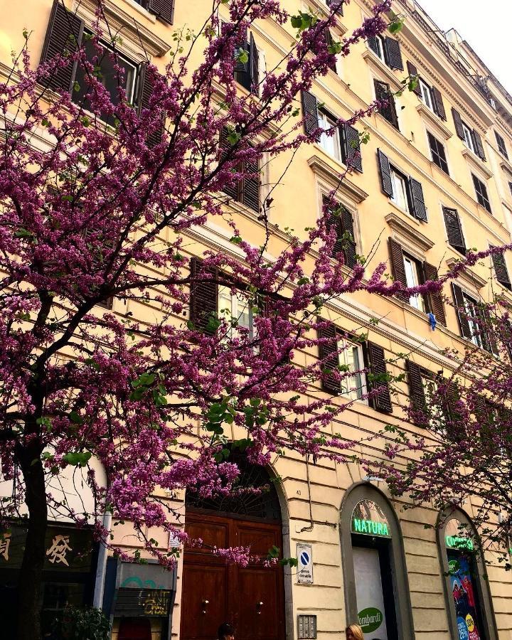 Appartement In Rome