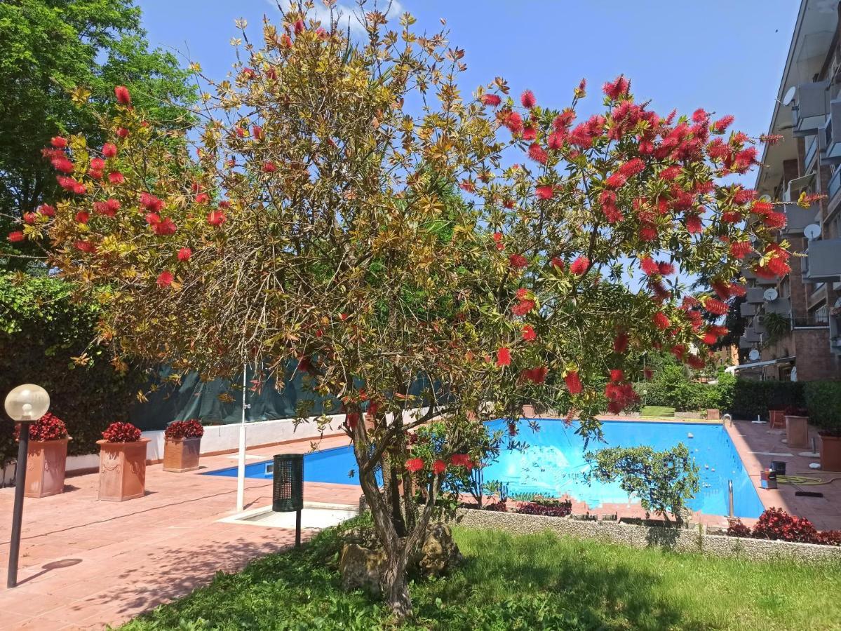 Aurelia Antica Terrace Free Pool And Parking Appartement
