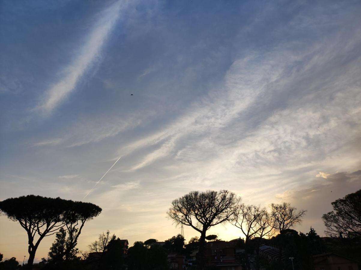 Belvedere Rome