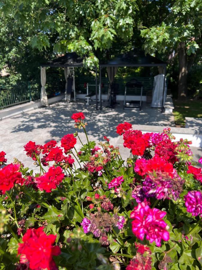 Bed & Breakfast Albina 3*