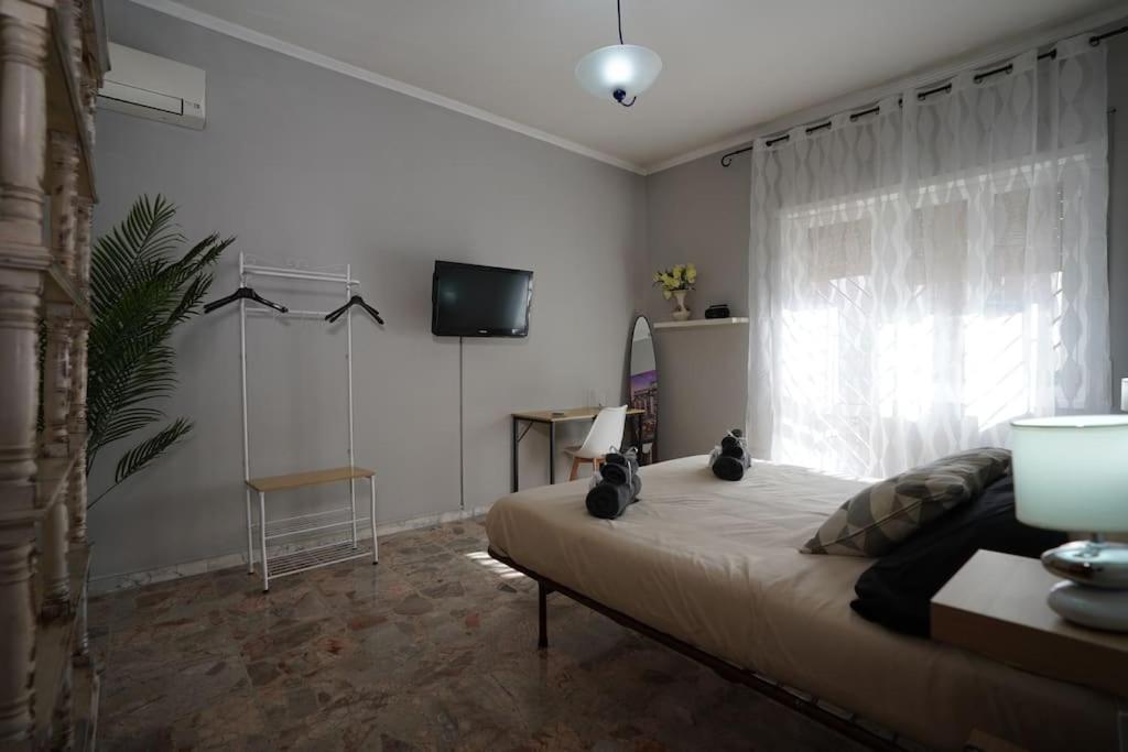 Big Flat Metro C Apartment Rome