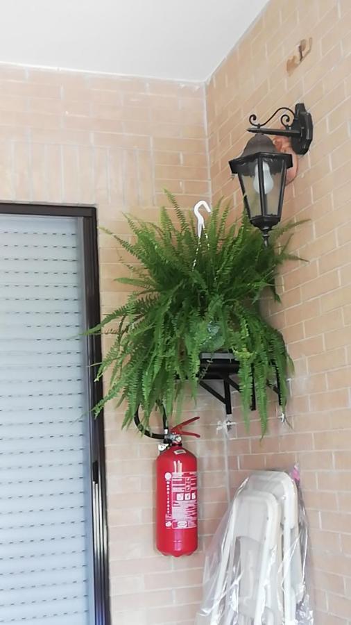 Apartamento Lucrezia Romana New - Cinecitta-capannelle