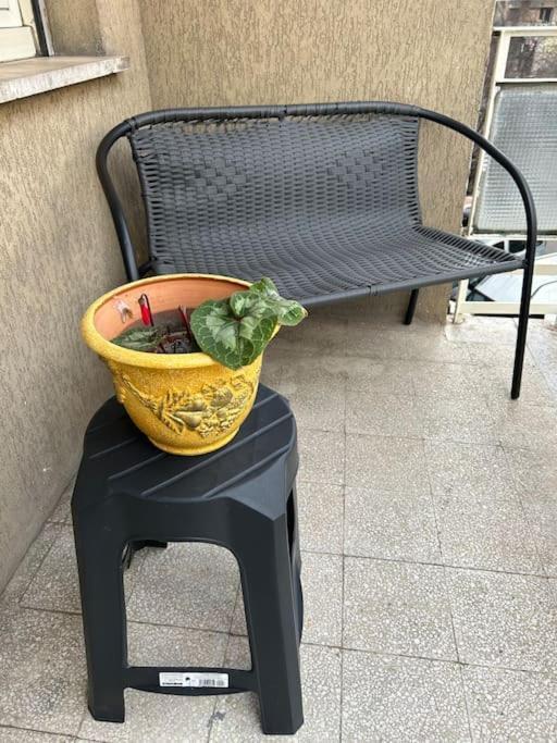 Apartment Pochi Passi Da San Pietro Metro A Cipro Rome