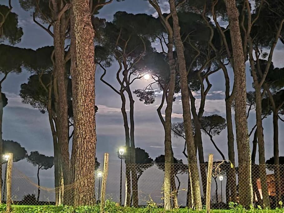 La Casa Della Pineta Holiday home