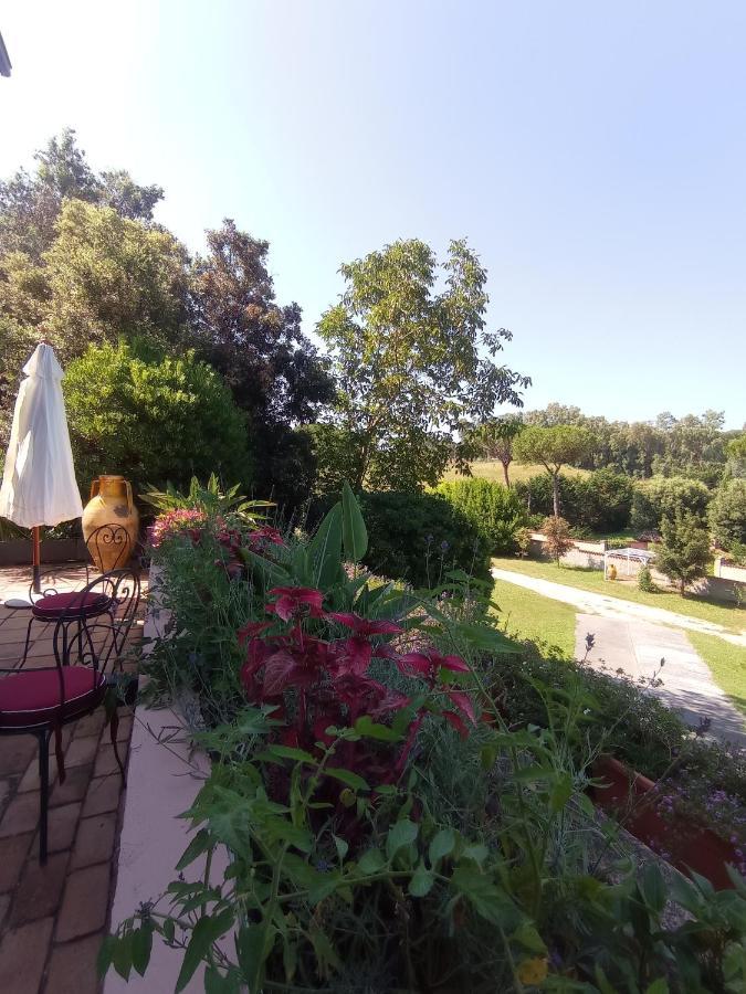 The Olive Grove Villa Roma