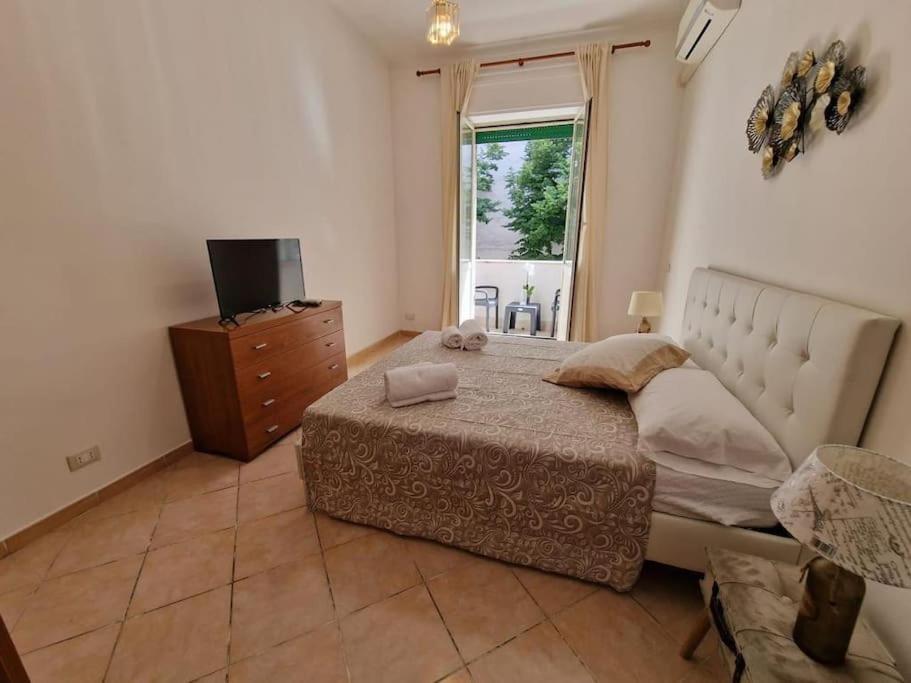 Appartement Vatican Shelter