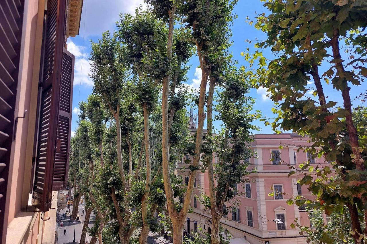 Cozy Merulana * Rome